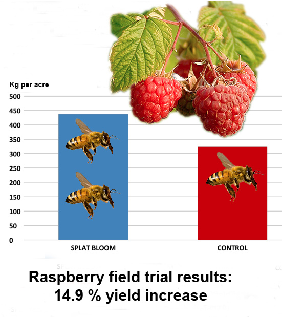 Food Yield Chart